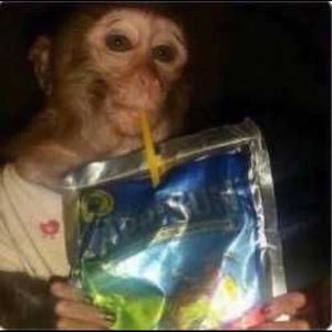 Meet your Posher, Xriana